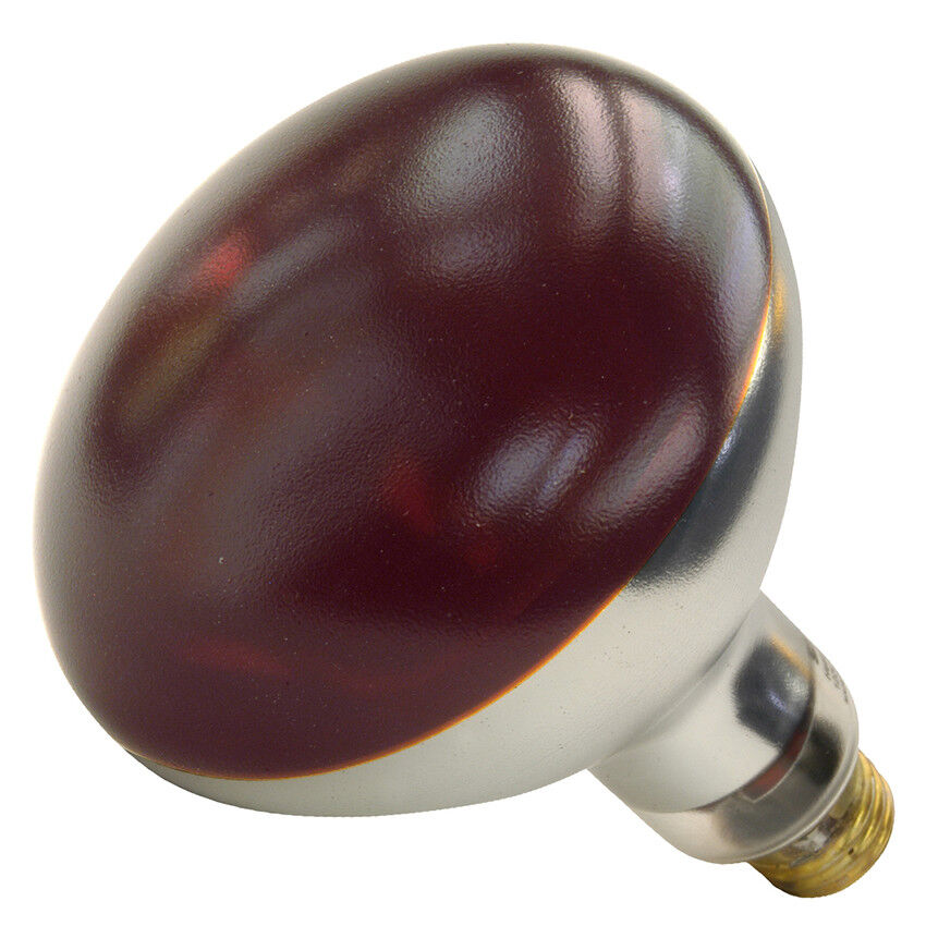 Shatter resistant heat lamp bulbs