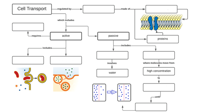 Worksheet organelles cell cells pdf structure processes organelle worksheeto via