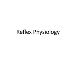 Exercise 16 human reflex physiology