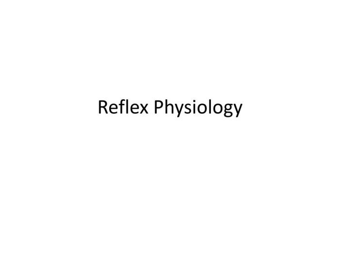 Exercise 16 human reflex physiology