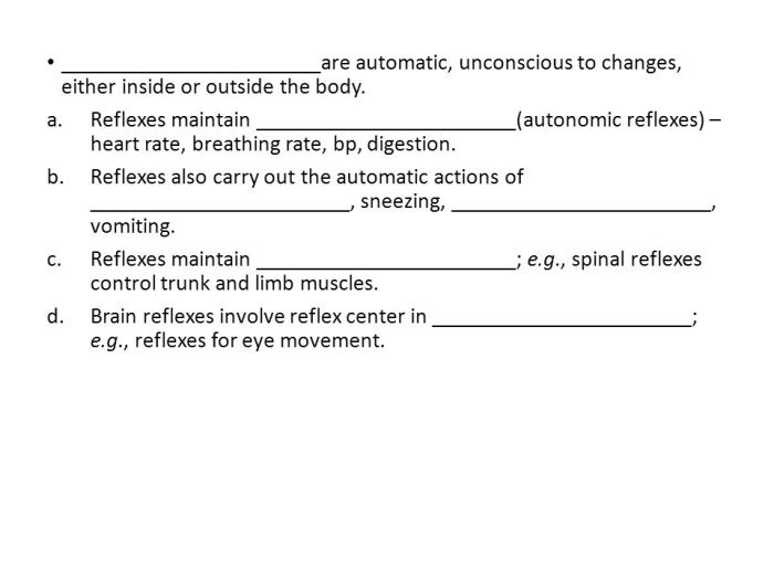 Exercise 16 human reflex physiology