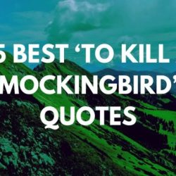 Character tkam essay mockingbird kill description coming age atticus ewell bob analysis lesson single