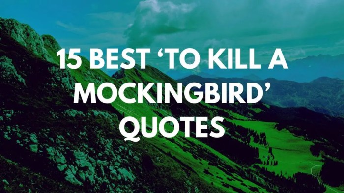 Character tkam essay mockingbird kill description coming age atticus ewell bob analysis lesson single