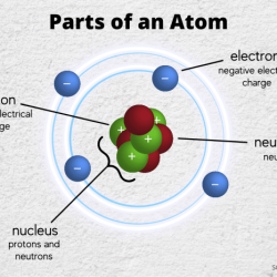 Match the properties with the subatomic particles