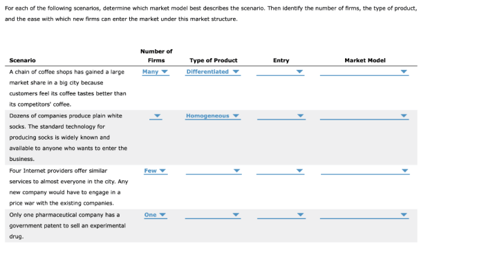 Market has each structures firms following number solved identify scenarios present companies type model their there students company attempts average