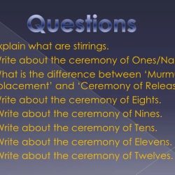 The giver questions and answers chapters 1-23